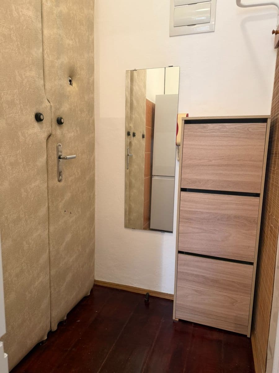 1 bedroom with open-plan kitchen flat to rent, 55 m², Bartoškova, Prague, Prague 1 bedroom with open-plan kitchen flat to rent, 55 m², Bartoškova, Prague, Prague