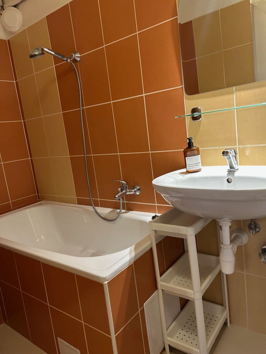 1 bedroom with open-plan kitchen flat to rent, 55 m², Bartoškova, Prague, Prague 1 bedroom with open-plan kitchen flat to rent, 55 m², Bartoškova, Prague, Prague