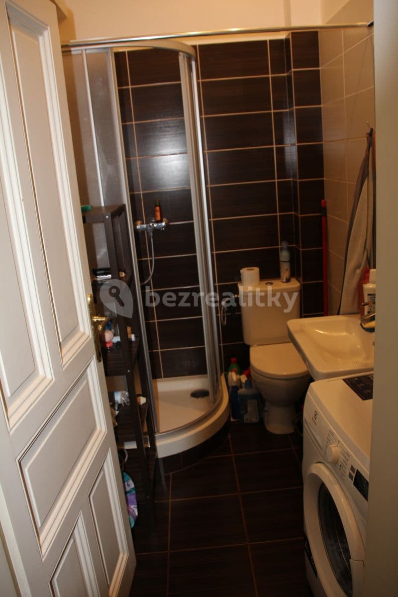 1 bedroom with open-plan kitchen flat to rent, 40 m², Moravská, Prague, Prague 1 bedroom with open-plan kitchen flat to rent, 40 m², Moravská, Prague, Prague