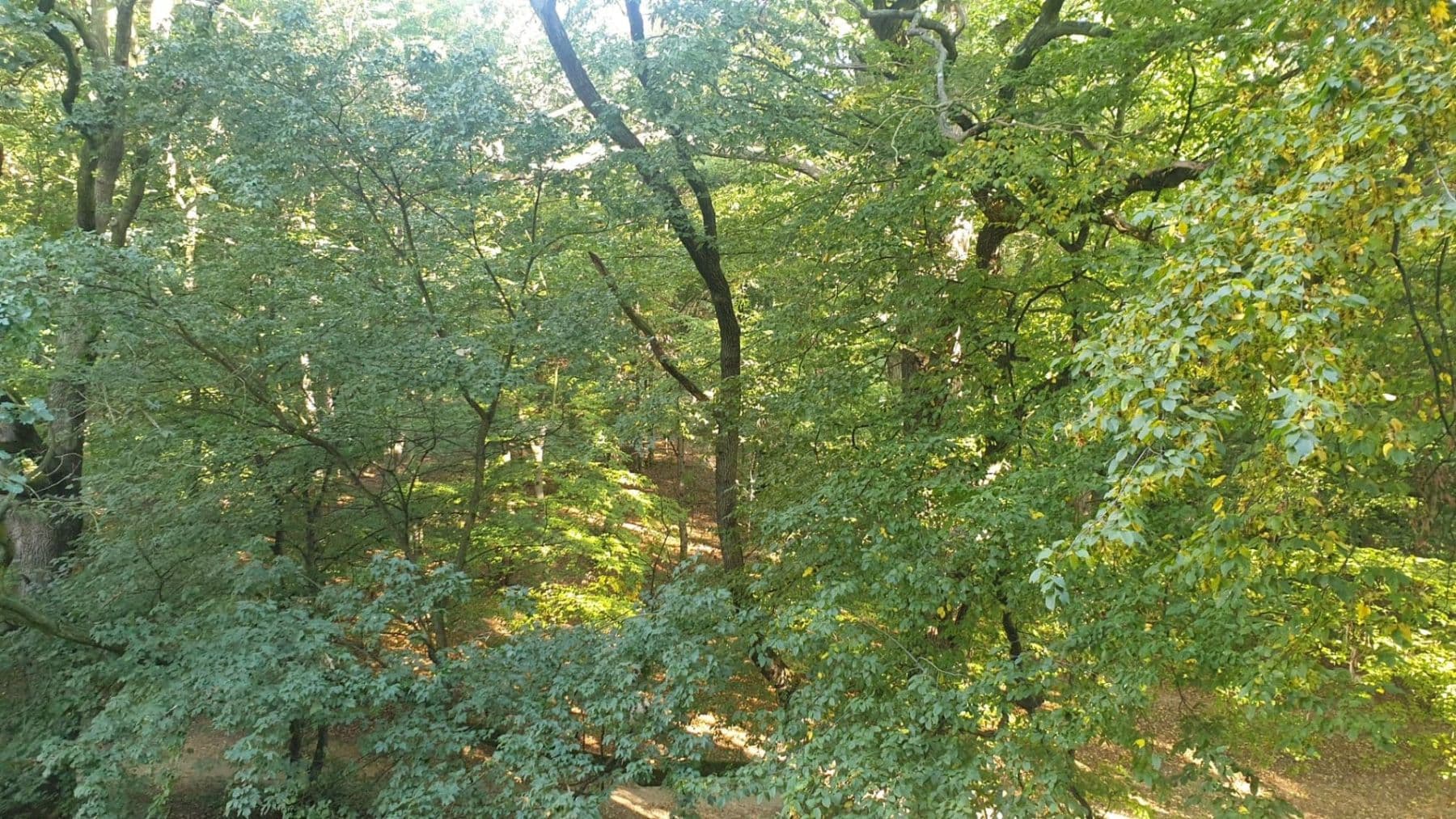 2 bedroom flat to rent, 50 m², Šimůnkova, Prague, Prague 2 bedroom flat to rent, 50 m², Šimůnkova, Prague, Prague