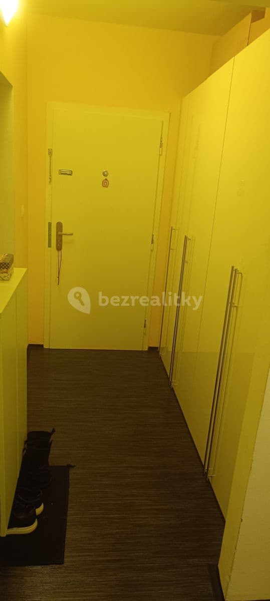 1 bedroom with open-plan kitchen flat to rent, 42 m², Valentova, Prague, Prague 1 bedroom with open-plan kitchen flat to rent, 42 m², Valentova, Prague, Prague