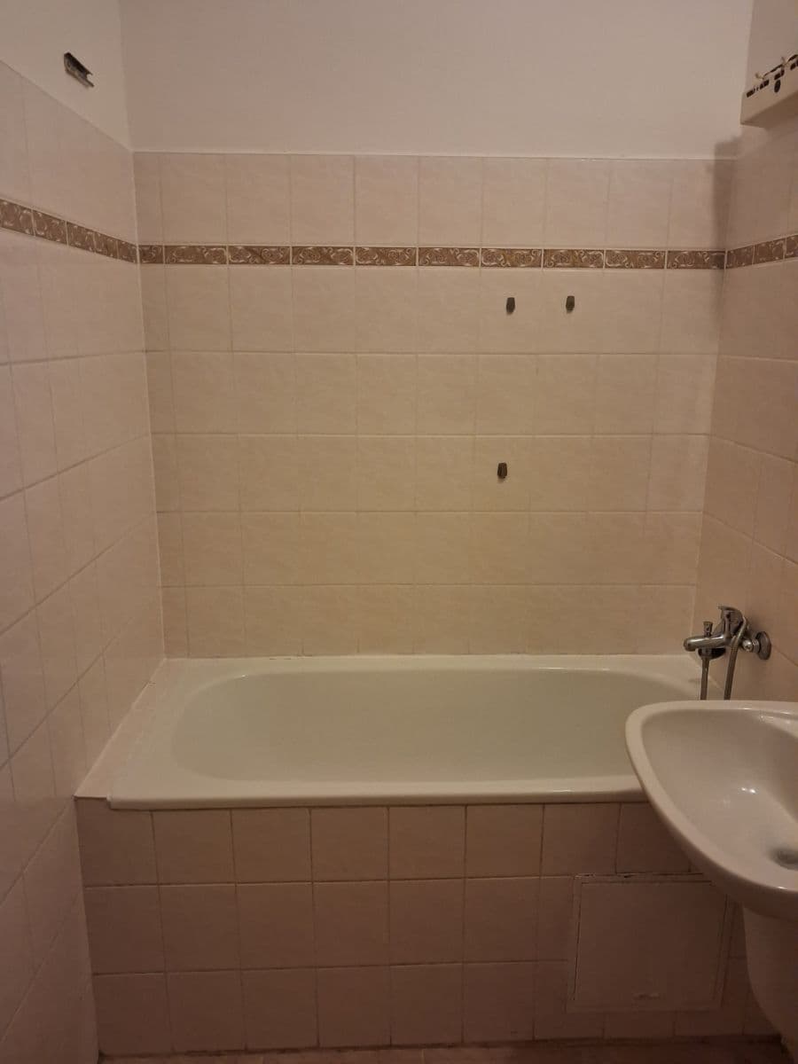 1 bedroom with open-plan kitchen flat to rent, 50 m², Rubeška, Prague, Prague 1 bedroom with open-plan kitchen flat to rent, 50 m², Rubeška, Prague, Prague