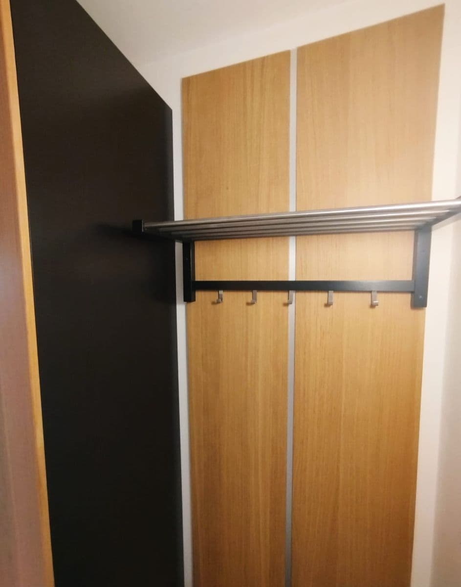 1 bedroom with open-plan kitchen flat to rent, 50 m², Jateční, Prague, Prague 1 bedroom with open-plan kitchen flat to rent, 50 m², Jateční, Prague, Prague
