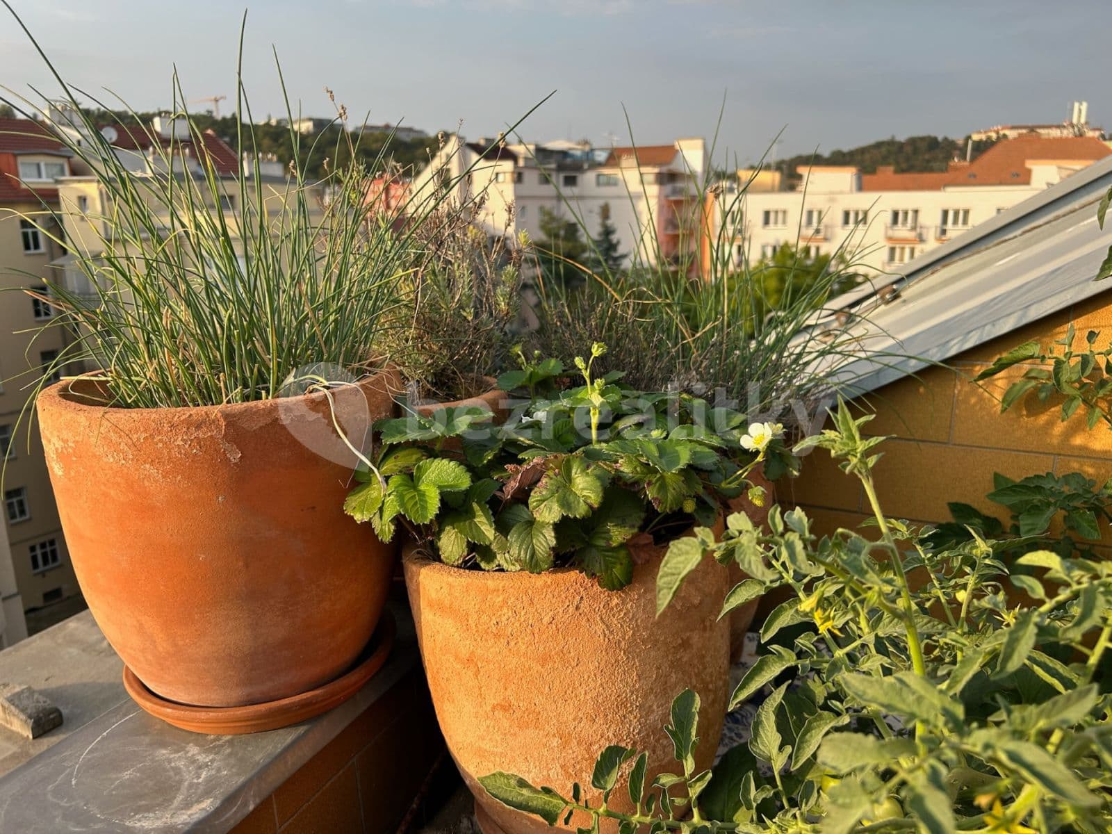 2 bedroom with open-plan kitchen flat to rent, 70 m², Rybářská, Brno, Jihomoravský Region 2 bedroom with open-plan kitchen flat to rent, 70 m², Rybářská, Brno, Jihomoravský Region