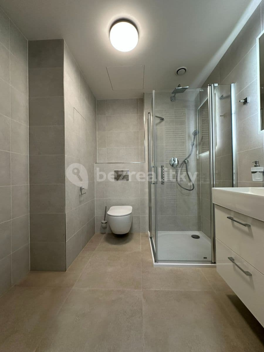 1 bedroom with open-plan kitchen flat to rent, 55 m², V Třešňovce, Prague, Prague 1 bedroom with open-plan kitchen flat to rent, 55 m², V Třešňovce, Prague, Prague