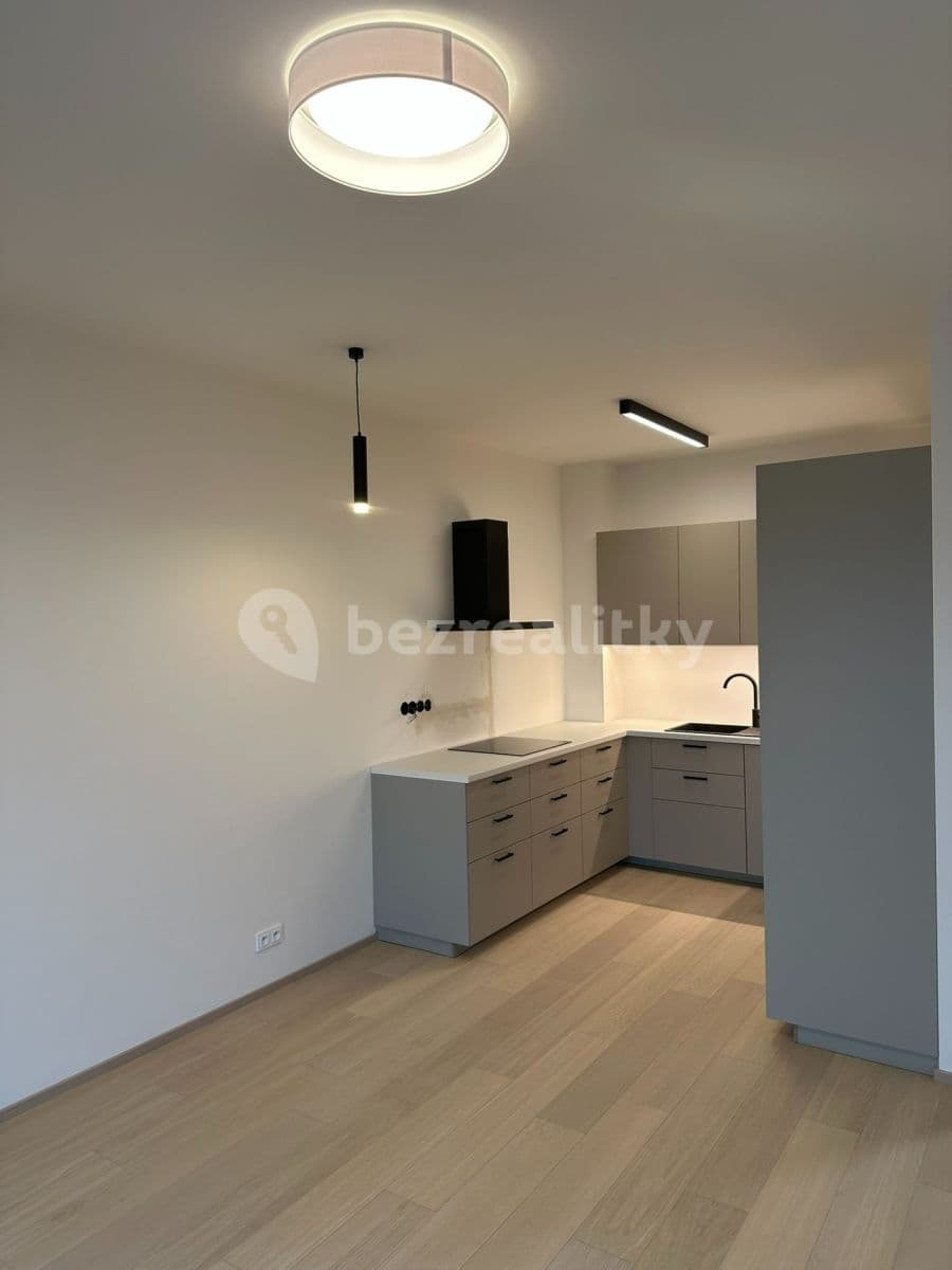 1 bedroom with open-plan kitchen flat to rent, 55 m², V Třešňovce, Prague, Prague 1 bedroom with open-plan kitchen flat to rent, 55 m², V Třešňovce, Prague, Prague