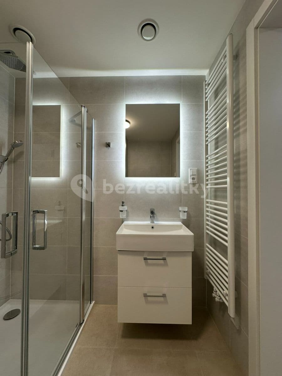 1 bedroom with open-plan kitchen flat to rent, 55 m², V Třešňovce, Prague, Prague 1 bedroom with open-plan kitchen flat to rent, 55 m², V Třešňovce, Prague, Prague