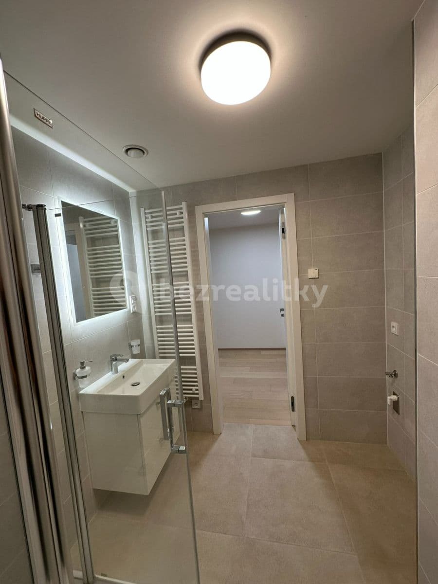 1 bedroom with open-plan kitchen flat to rent, 55 m², V Třešňovce, Prague, Prague 1 bedroom with open-plan kitchen flat to rent, 55 m², V Třešňovce, Prague, Prague
