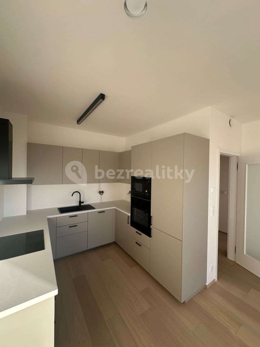 1 bedroom with open-plan kitchen flat to rent, 55 m², V Třešňovce, Prague, Prague 1 bedroom with open-plan kitchen flat to rent, 55 m², V Třešňovce, Prague, Prague