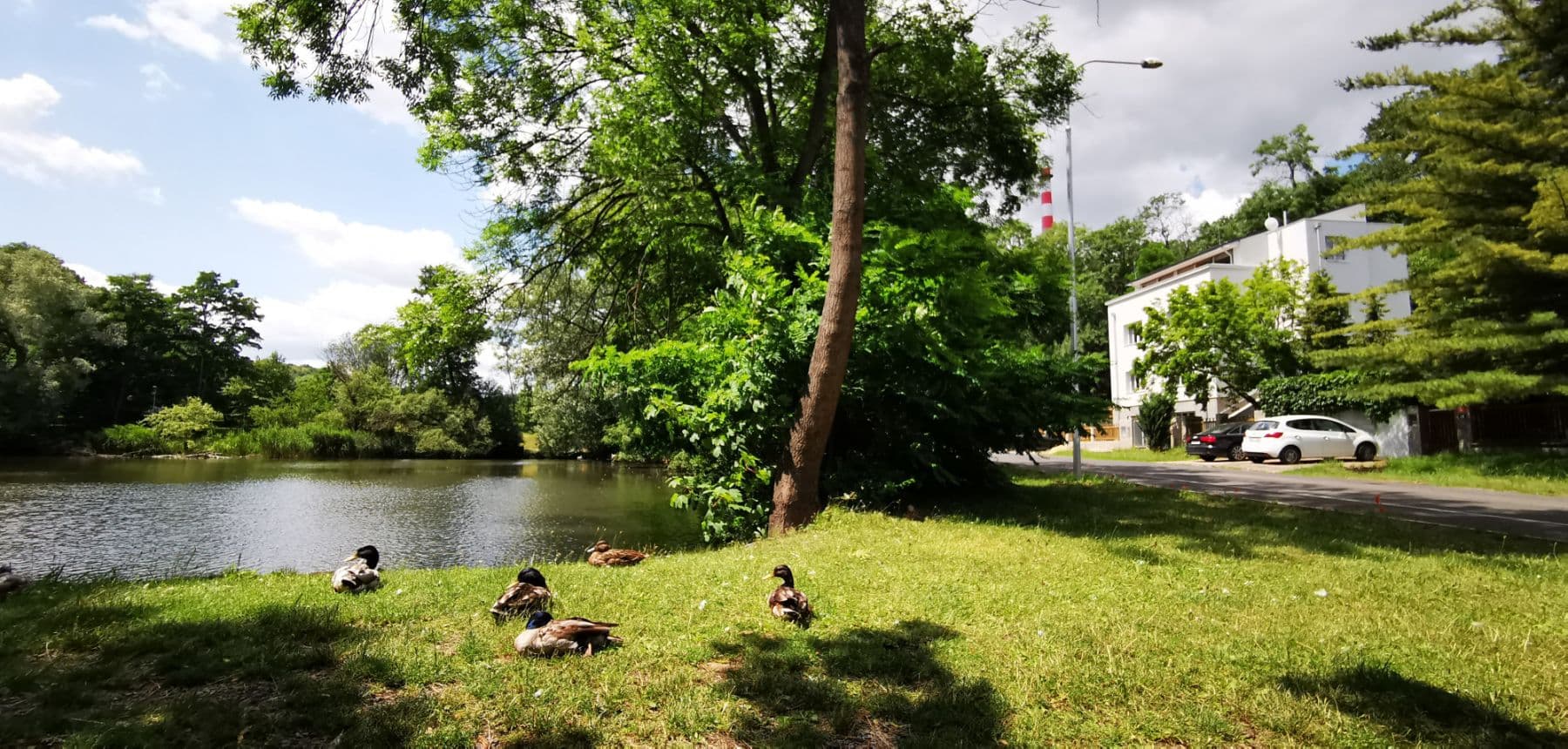 flat to rent, 86 m², Zahradníčkova, Prague, Prague flat to rent, 86 m², Zahradníčkova, Prague, Prague