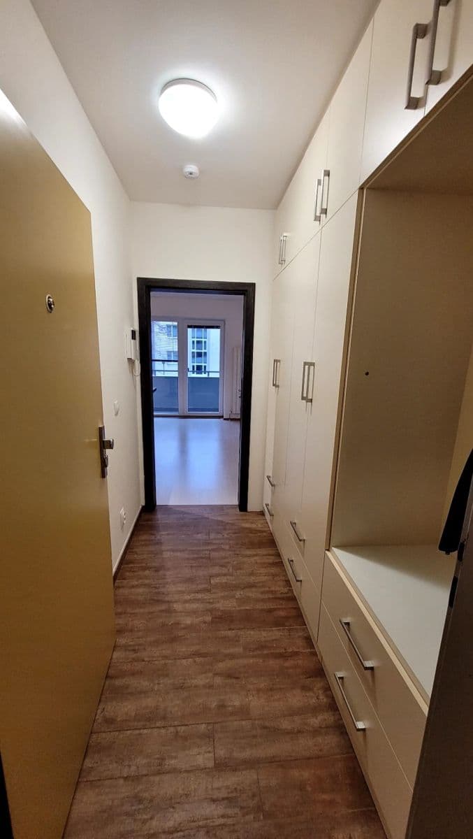 Studio flat to rent, 31 m², Frýdecká, Prague, Prague Studio flat to rent, 31 m², Frýdecká, Prague, Prague