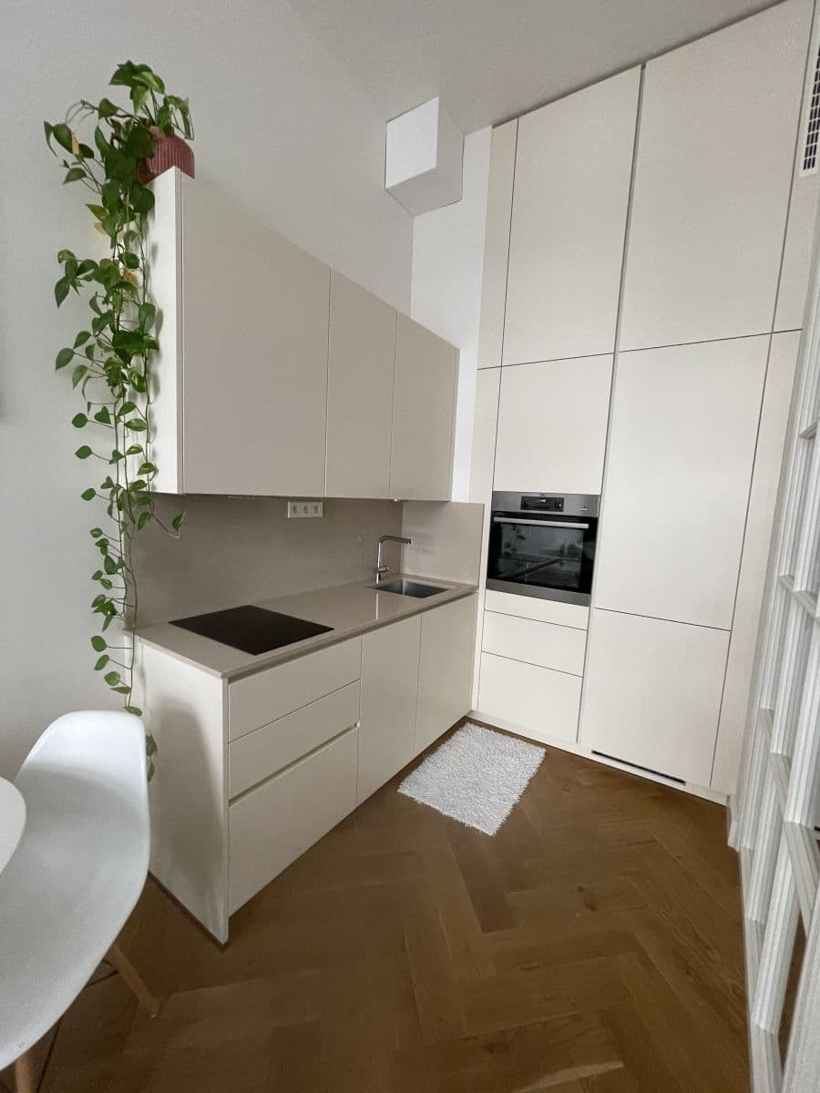 flat to rent, 43 m², Dlážděná, Prague, Prague flat to rent, 43 m², Dlážděná, Prague, Prague