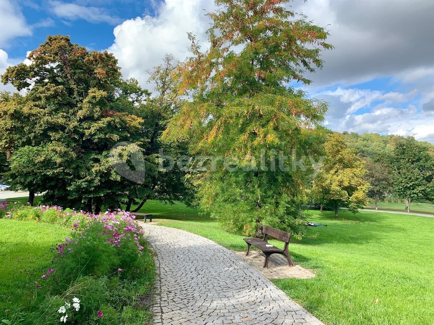 1 bedroom with open-plan kitchen flat to rent, 80 m², Kobrova, Prague, Prague 1 bedroom with open-plan kitchen flat to rent, 80 m², Kobrova, Prague, Prague
