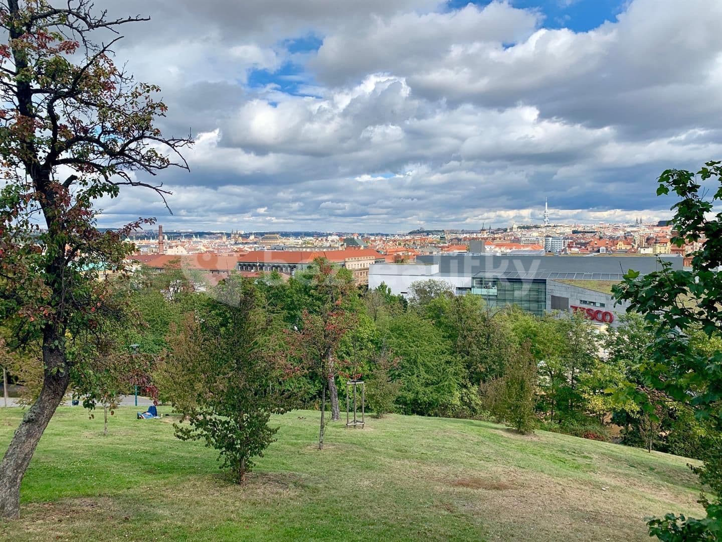 1 bedroom with open-plan kitchen flat to rent, 80 m², Kobrova, Prague, Prague 1 bedroom with open-plan kitchen flat to rent, 80 m², Kobrova, Prague, Prague