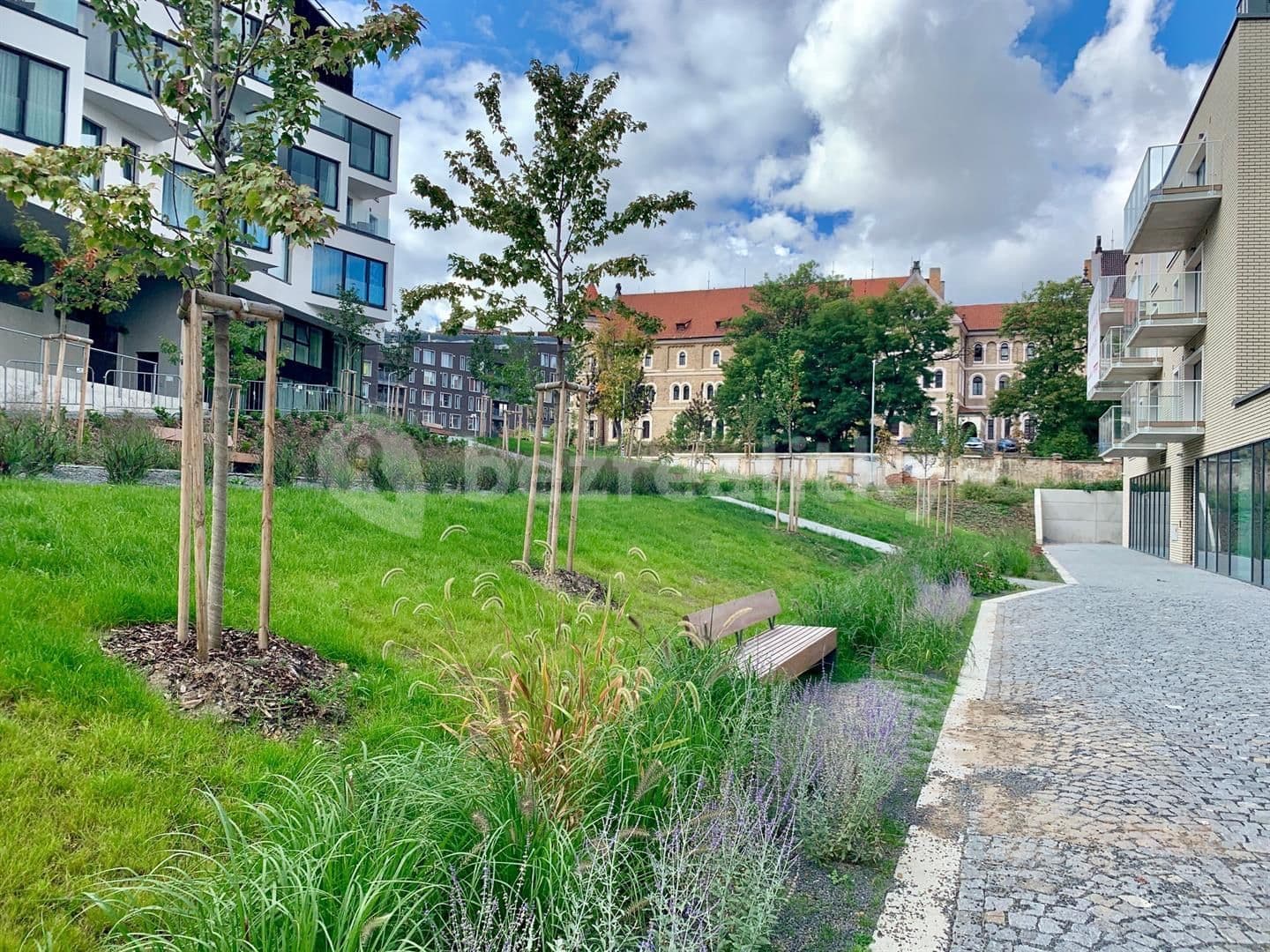 1 bedroom with open-plan kitchen flat to rent, 80 m², Kobrova, Prague, Prague 1 bedroom with open-plan kitchen flat to rent, 80 m², Kobrova, Prague, Prague