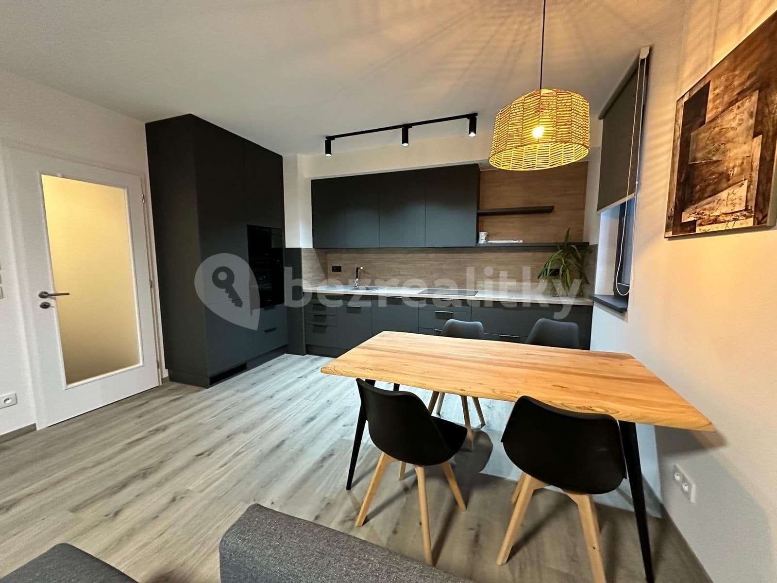2 bedroom with open-plan kitchen flat to rent, 74 m², Olgy Havlové, Prague, Prague 2 bedroom with open-plan kitchen flat to rent, 74 m², Olgy Havlové, Prague, Prague