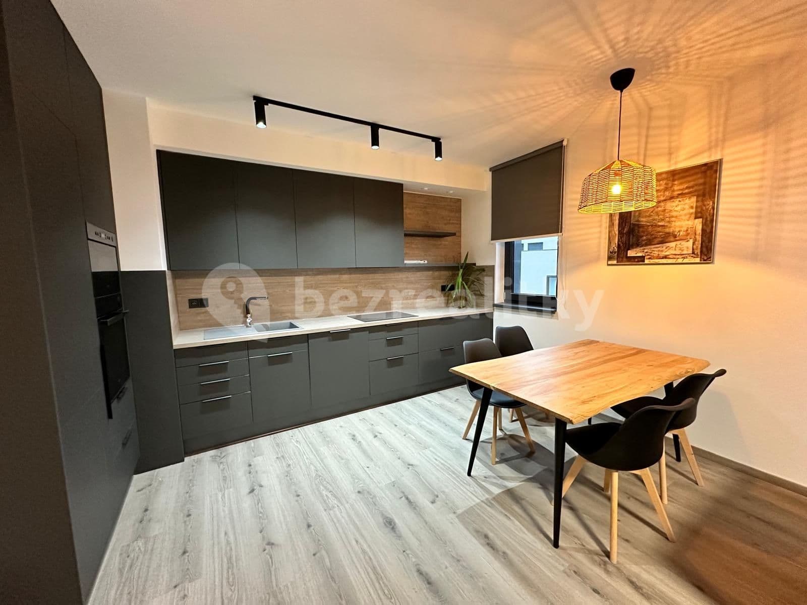2 bedroom with open-plan kitchen flat to rent, 74 m², Olgy Havlové, Prague, Prague 2 bedroom with open-plan kitchen flat to rent, 74 m², Olgy Havlové, Prague, Prague