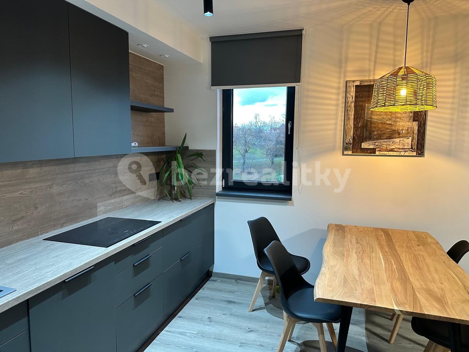 2 bedroom with open-plan kitchen flat to rent, 74 m², Olgy Havlové, Prague, Prague 2 bedroom with open-plan kitchen flat to rent, 74 m², Olgy Havlové, Prague, Prague
