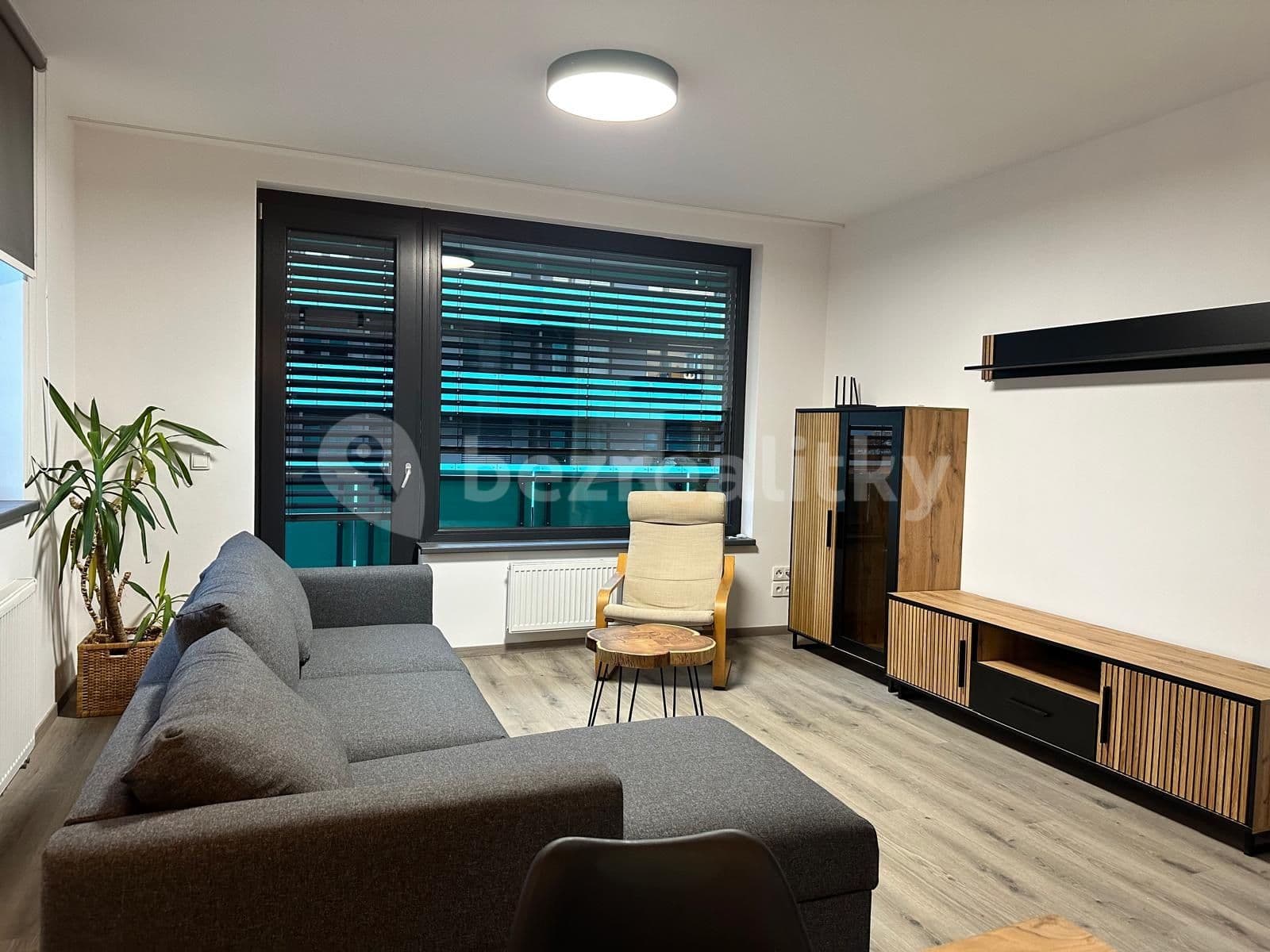 2 bedroom with open-plan kitchen flat to rent, 74 m², Olgy Havlové, Prague, Prague 2 bedroom with open-plan kitchen flat to rent, 74 m², Olgy Havlové, Prague, Prague