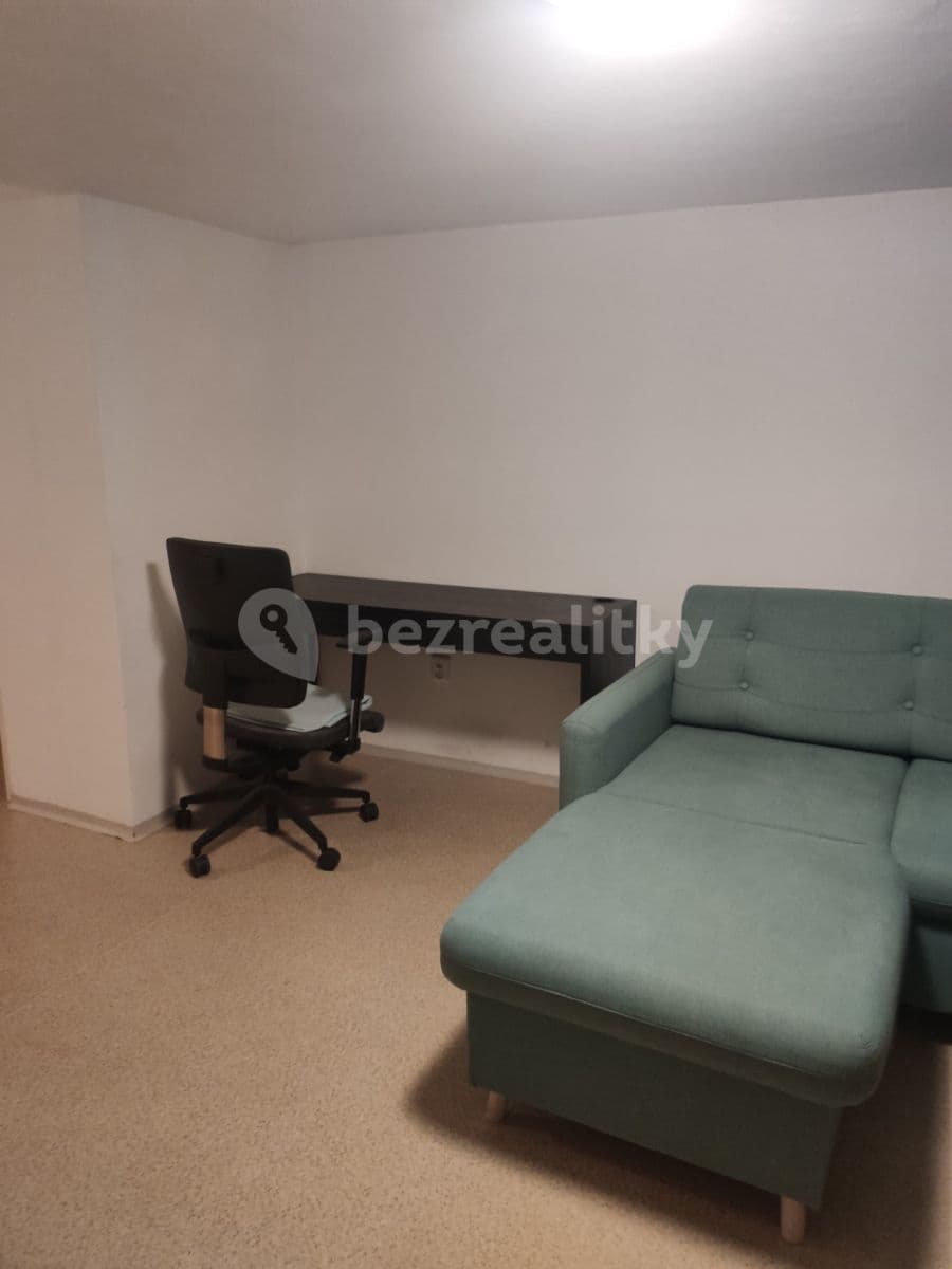 1 bedroom with open-plan kitchen flat to rent, 47 m², Rovná, Brno, Jihomoravský Region 1 bedroom with open-plan kitchen flat to rent, 47 m², Rovná, Brno, Jihomoravský Region