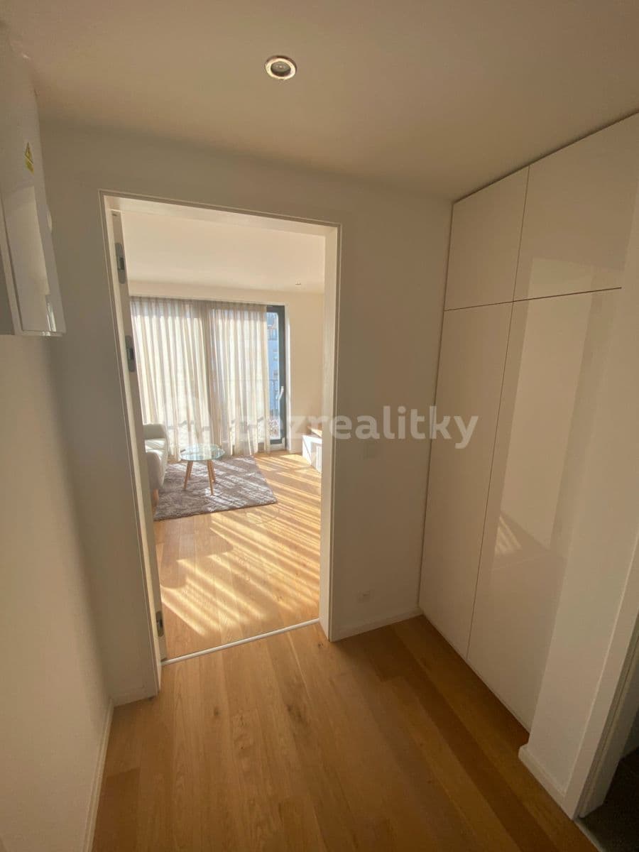 1 bedroom with open-plan kitchen flat to rent, 49 m², Na Pomezí, Prague, Prague 1 bedroom with open-plan kitchen flat to rent, 49 m², Na Pomezí, Prague, Prague