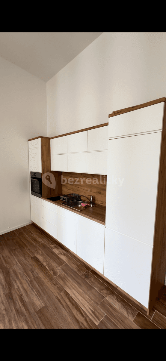 1 bedroom with open-plan kitchen flat to rent, 46 m², Kozí, Brno, Jihomoravský Region 1 bedroom with open-plan kitchen flat to rent, 46 m², Kozí, Brno, Jihomoravský Region