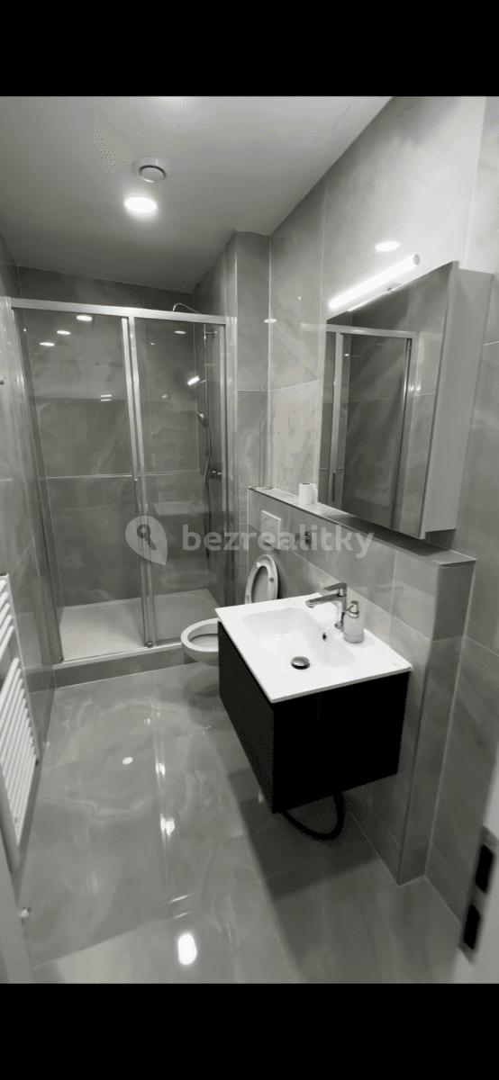 1 bedroom with open-plan kitchen flat to rent, 46 m², Kozí, Brno, Jihomoravský Region 1 bedroom with open-plan kitchen flat to rent, 46 m², Kozí, Brno, Jihomoravský Region