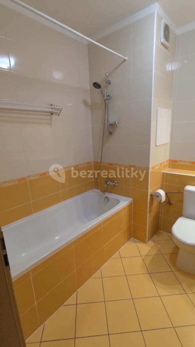 1 bedroom with open-plan kitchen flat to rent, 48 m², V Zahradách, Prague, Prague 1 bedroom with open-plan kitchen flat to rent, 48 m², V Zahradách, Prague, Prague