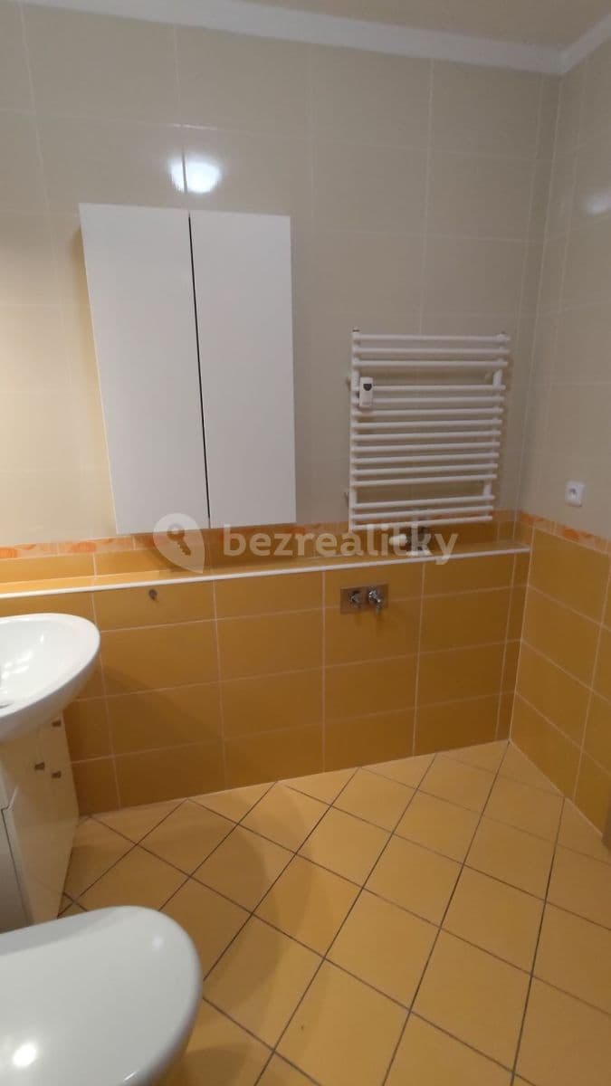1 bedroom with open-plan kitchen flat to rent, 48 m², V Zahradách, Prague, Prague 1 bedroom with open-plan kitchen flat to rent, 48 m², V Zahradách, Prague, Prague