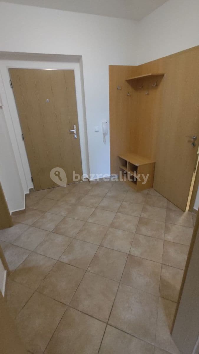 1 bedroom with open-plan kitchen flat to rent, 48 m², V Zahradách, Prague, Prague 1 bedroom with open-plan kitchen flat to rent, 48 m², V Zahradách, Prague, Prague