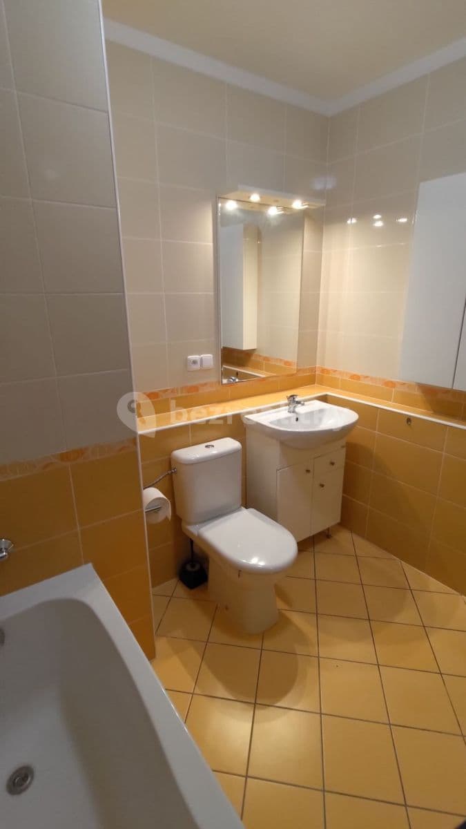 1 bedroom with open-plan kitchen flat to rent, 48 m², V Zahradách, Prague, Prague 1 bedroom with open-plan kitchen flat to rent, 48 m², V Zahradách, Prague, Prague