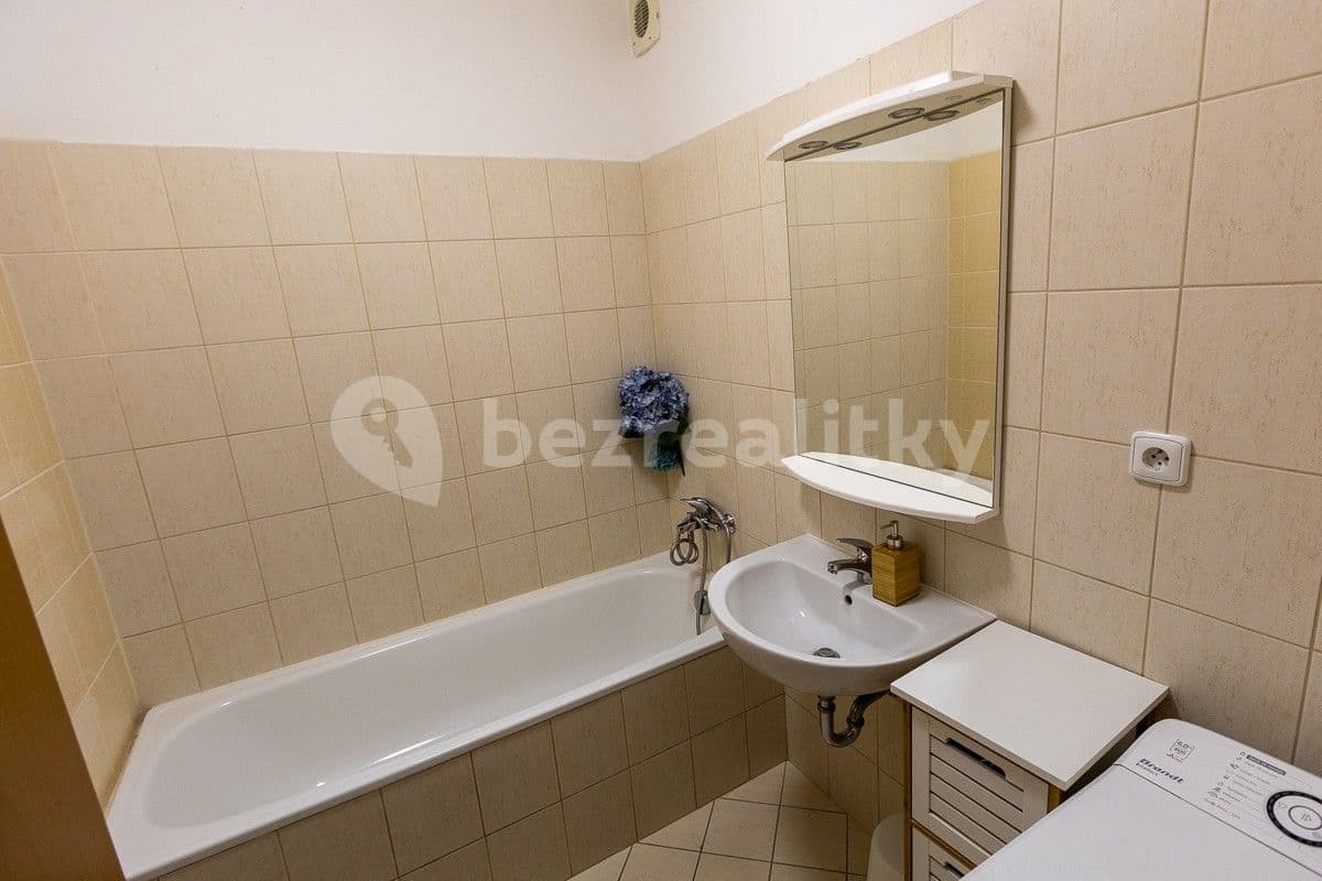 1 bedroom with open-plan kitchen flat to rent, 54 m², Nová kolonie, Prague, Prague 1 bedroom with open-plan kitchen flat to rent, 54 m², Nová kolonie, Prague, Prague