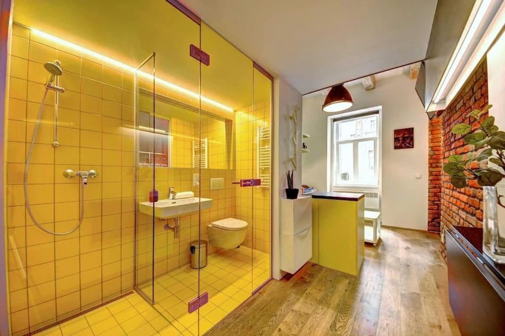flat to rent, 20 m², Vrchlického, Prague, Prague flat to rent, 20 m², Vrchlického, Prague, Prague
