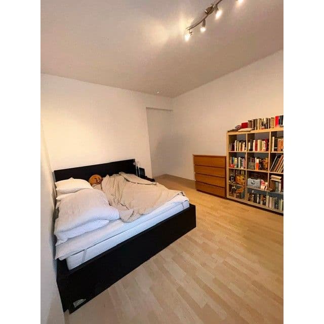 1 bedroom with open-plan kitchen flat to rent, 49 m², Viklefova, Prague, Prague 1 bedroom with open-plan kitchen flat to rent, 49 m², Viklefova, Prague, Prague