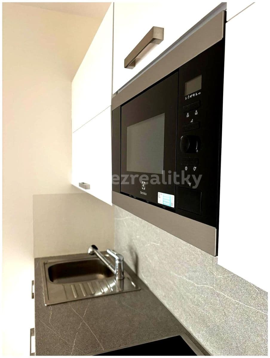1 bedroom with open-plan kitchen flat to rent, 80 m², Kotíkovská, Plzeň, Plzeňský Region 1 bedroom with open-plan kitchen flat to rent, 80 m², Kotíkovská, Plzeň, Plzeňský Region