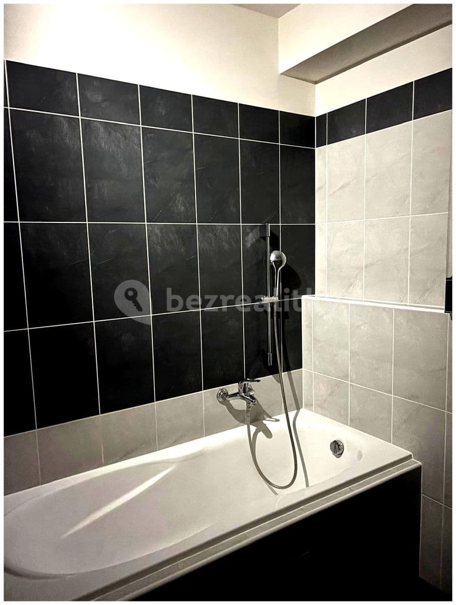 1 bedroom with open-plan kitchen flat to rent, 80 m², Kotíkovská, Plzeň, Plzeňský Region 1 bedroom with open-plan kitchen flat to rent, 80 m², Kotíkovská, Plzeň, Plzeňský Region