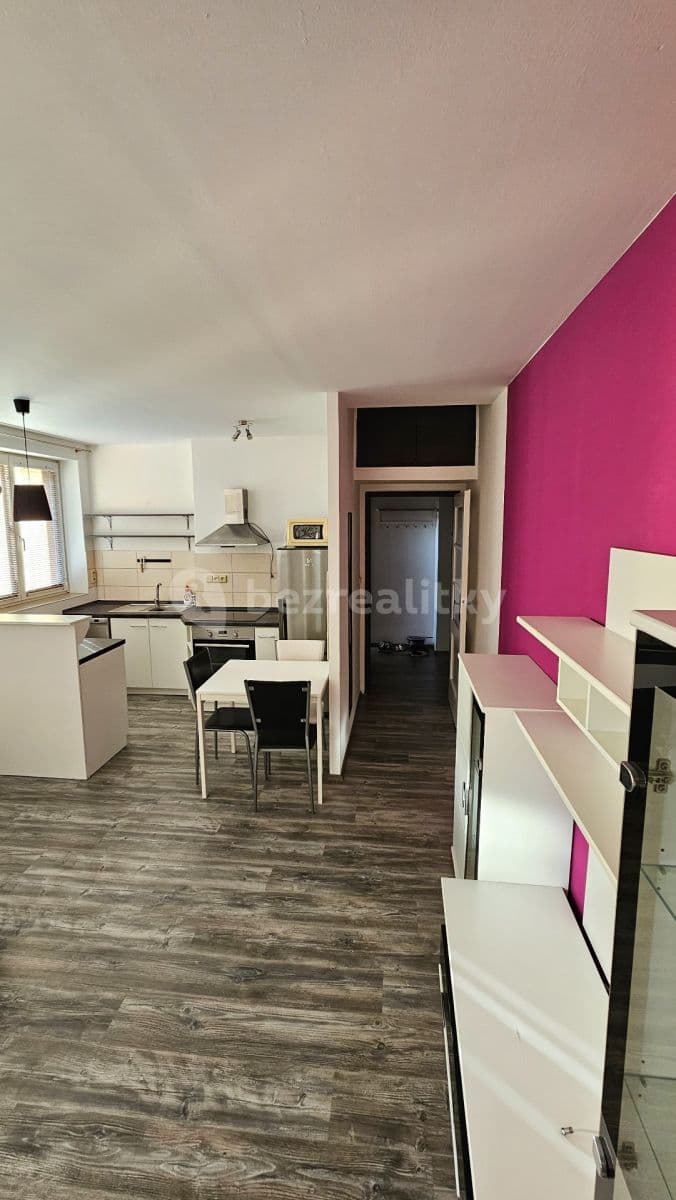 1 bedroom with open-plan kitchen flat to rent, 45 m², Humpolecká, Prague, Prague 1 bedroom with open-plan kitchen flat to rent, 45 m², Humpolecká, Prague, Prague