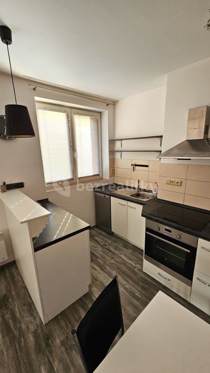 1 bedroom with open-plan kitchen flat to rent, 45 m², Humpolecká, Prague, Prague 1 bedroom with open-plan kitchen flat to rent, 45 m², Humpolecká, Prague, Prague