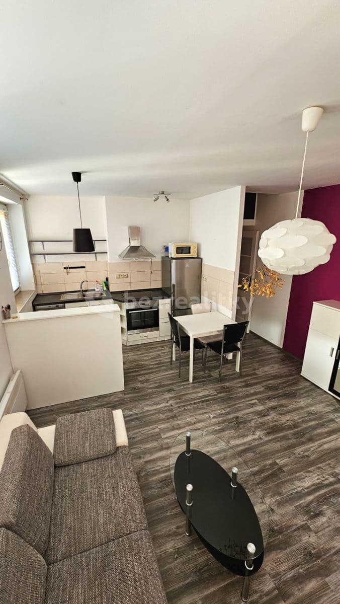 1 bedroom with open-plan kitchen flat to rent, 45 m², Humpolecká, Prague, Prague 1 bedroom with open-plan kitchen flat to rent, 45 m², Humpolecká, Prague, Prague
