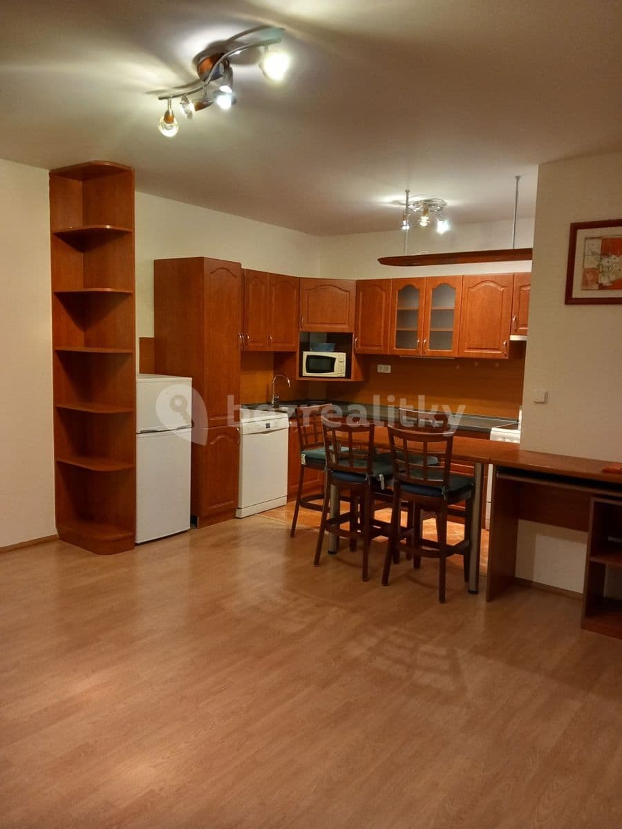 1 bedroom with open-plan kitchen flat to rent, 53 m², Trmická, Prague, Prague 1 bedroom with open-plan kitchen flat to rent, 53 m², Trmická, Prague, Prague