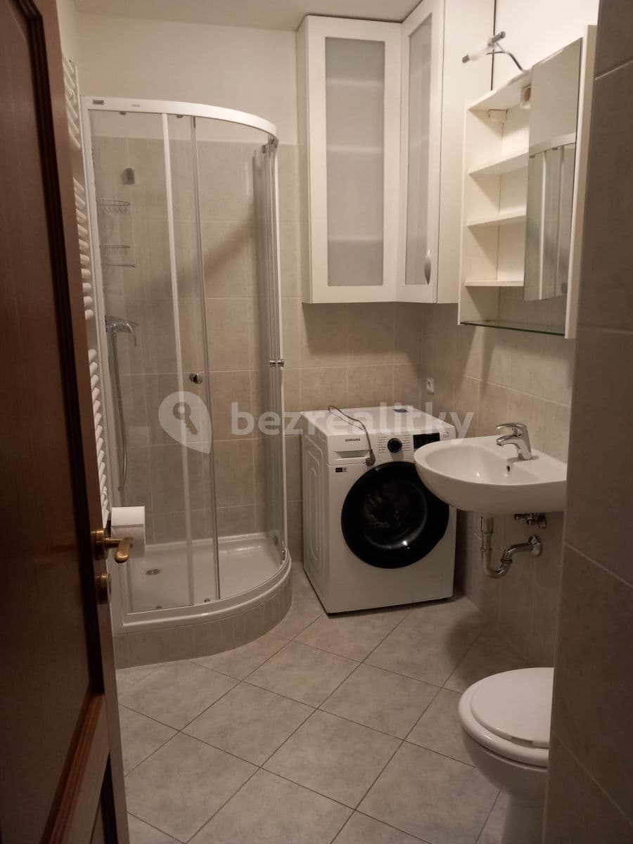 1 bedroom with open-plan kitchen flat to rent, 53 m², Trmická, Prague, Prague 1 bedroom with open-plan kitchen flat to rent, 53 m², Trmická, Prague, Prague