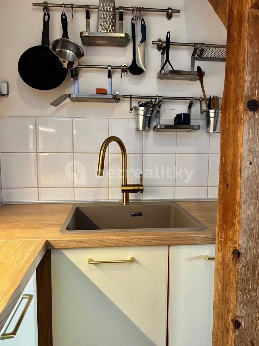 1 bedroom with open-plan kitchen flat to rent, 40 m², Na Kozačce, Prague, Prague 1 bedroom with open-plan kitchen flat to rent, 40 m², Na Kozačce, Prague, Prague