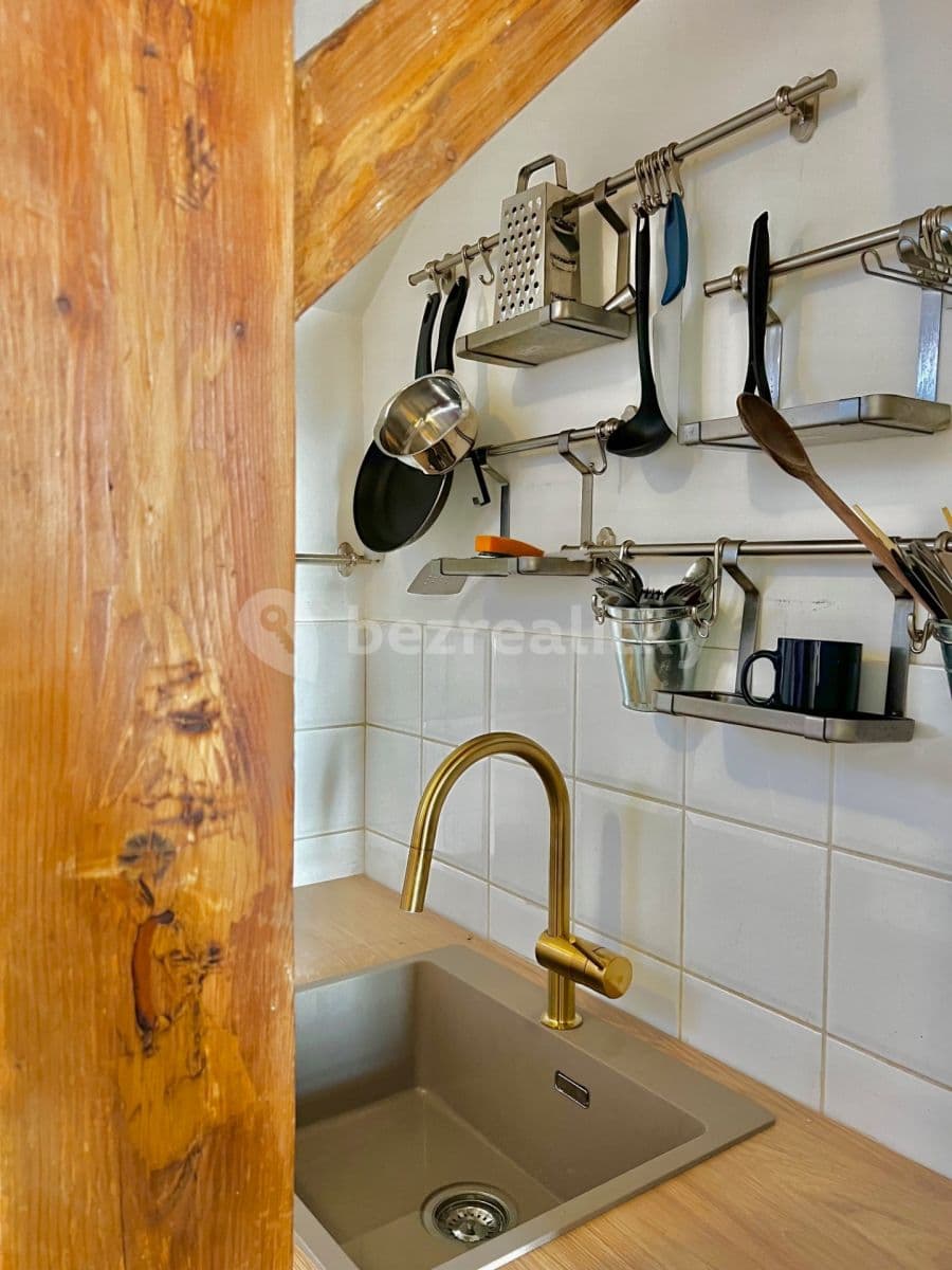 1 bedroom with open-plan kitchen flat to rent, 40 m², Na Kozačce, Prague, Prague 1 bedroom with open-plan kitchen flat to rent, 40 m², Na Kozačce, Prague, Prague