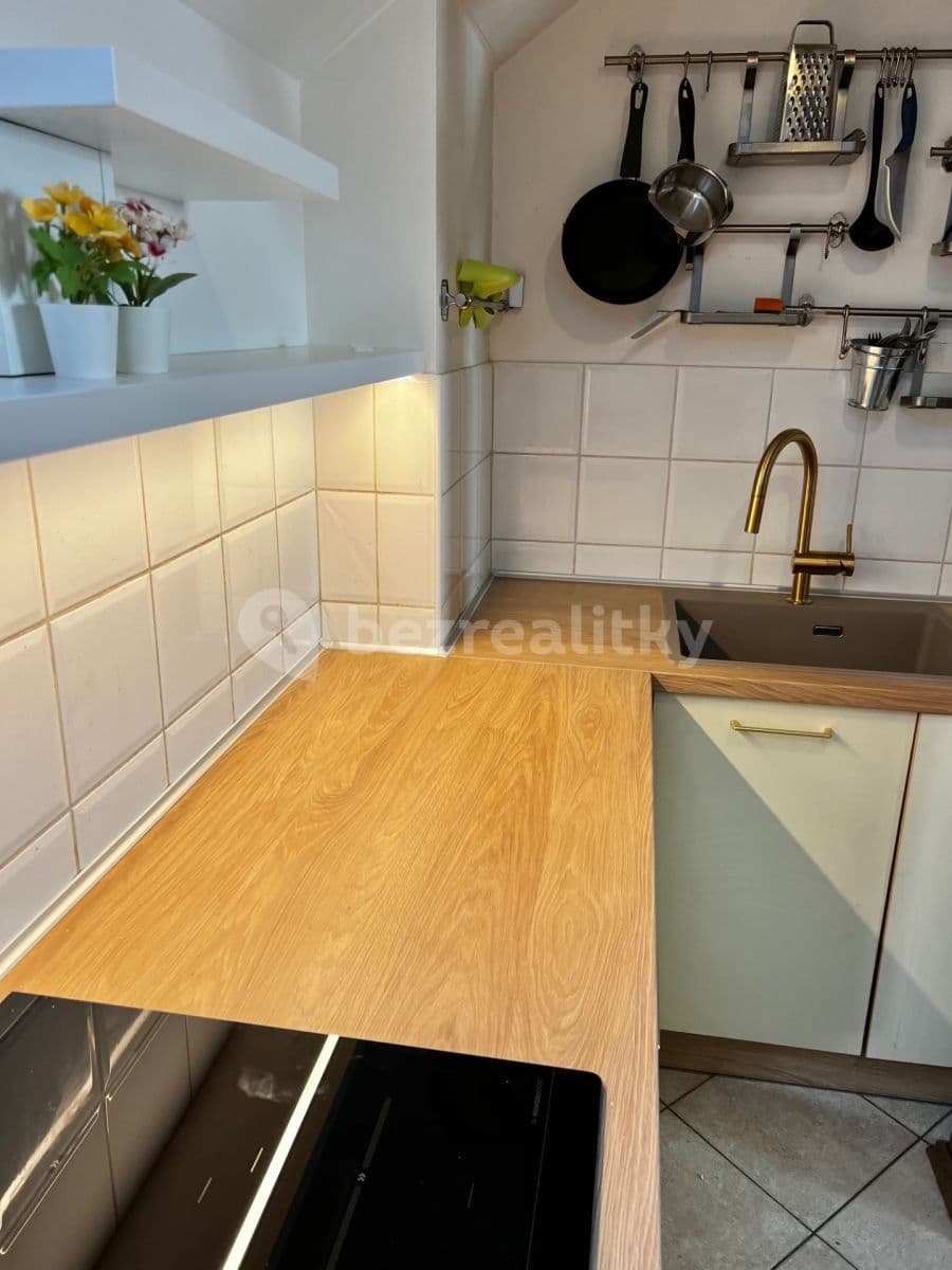 1 bedroom with open-plan kitchen flat to rent, 40 m², Na Kozačce, Prague, Prague 1 bedroom with open-plan kitchen flat to rent, 40 m², Na Kozačce, Prague, Prague