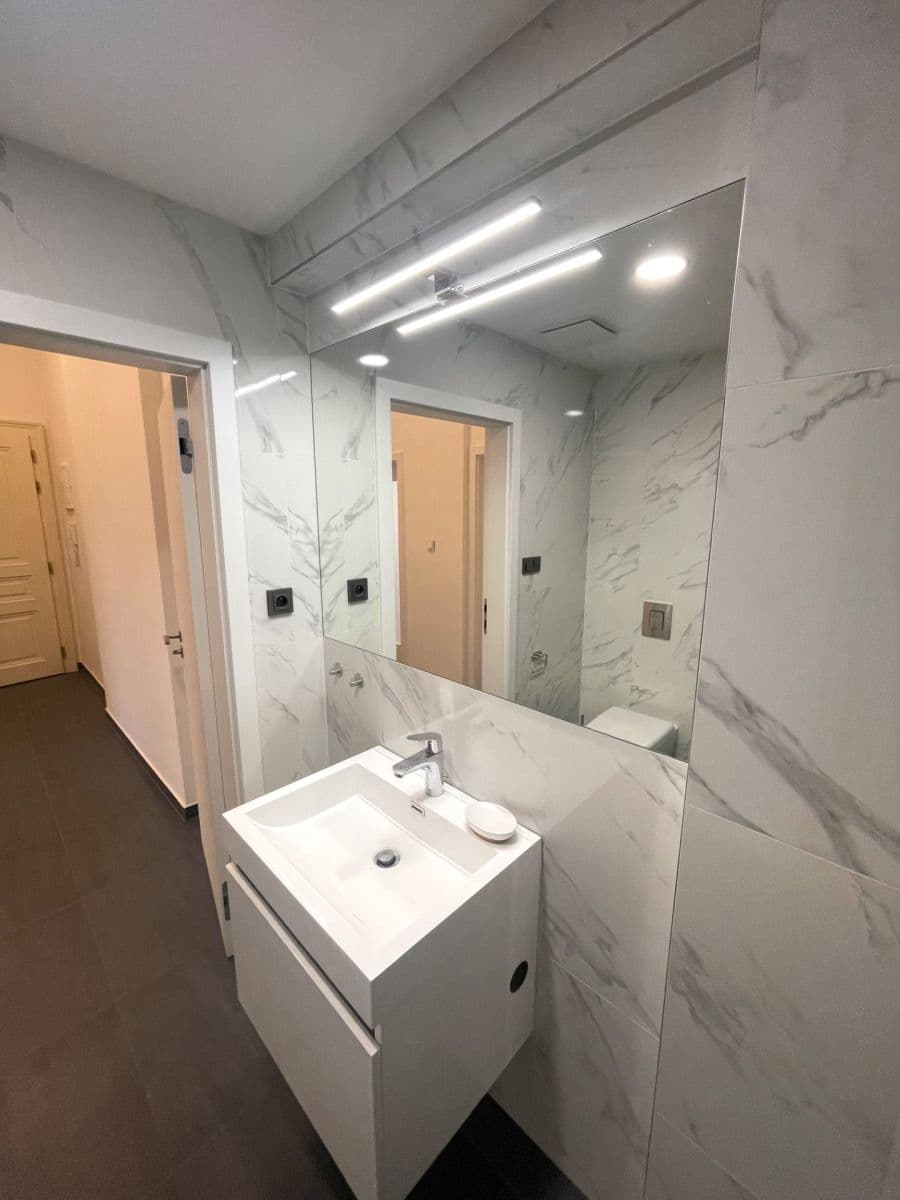1 bedroom with open-plan kitchen flat to rent, 55 m², Peckova, Prague, Prague 1 bedroom with open-plan kitchen flat to rent, 55 m², Peckova, Prague, Prague
