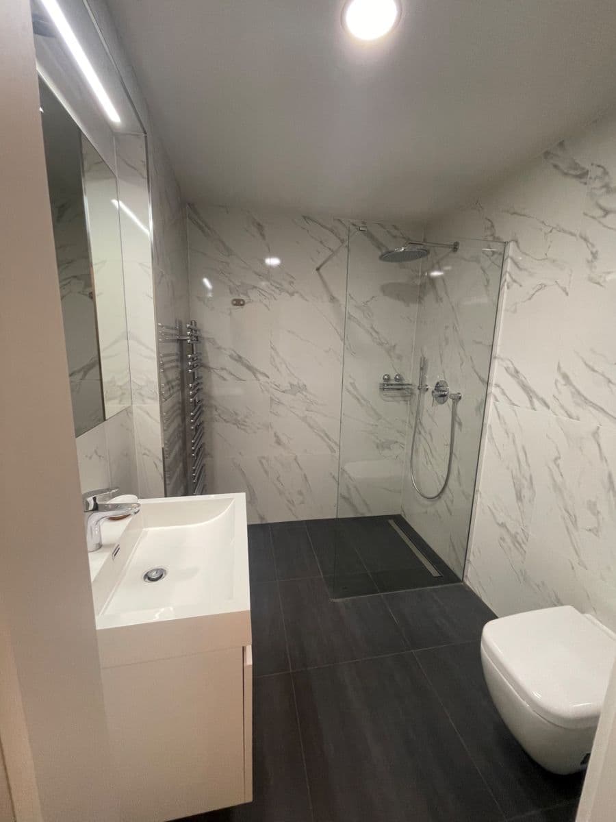 1 bedroom with open-plan kitchen flat to rent, 55 m², Peckova, Prague, Prague 1 bedroom with open-plan kitchen flat to rent, 55 m², Peckova, Prague, Prague