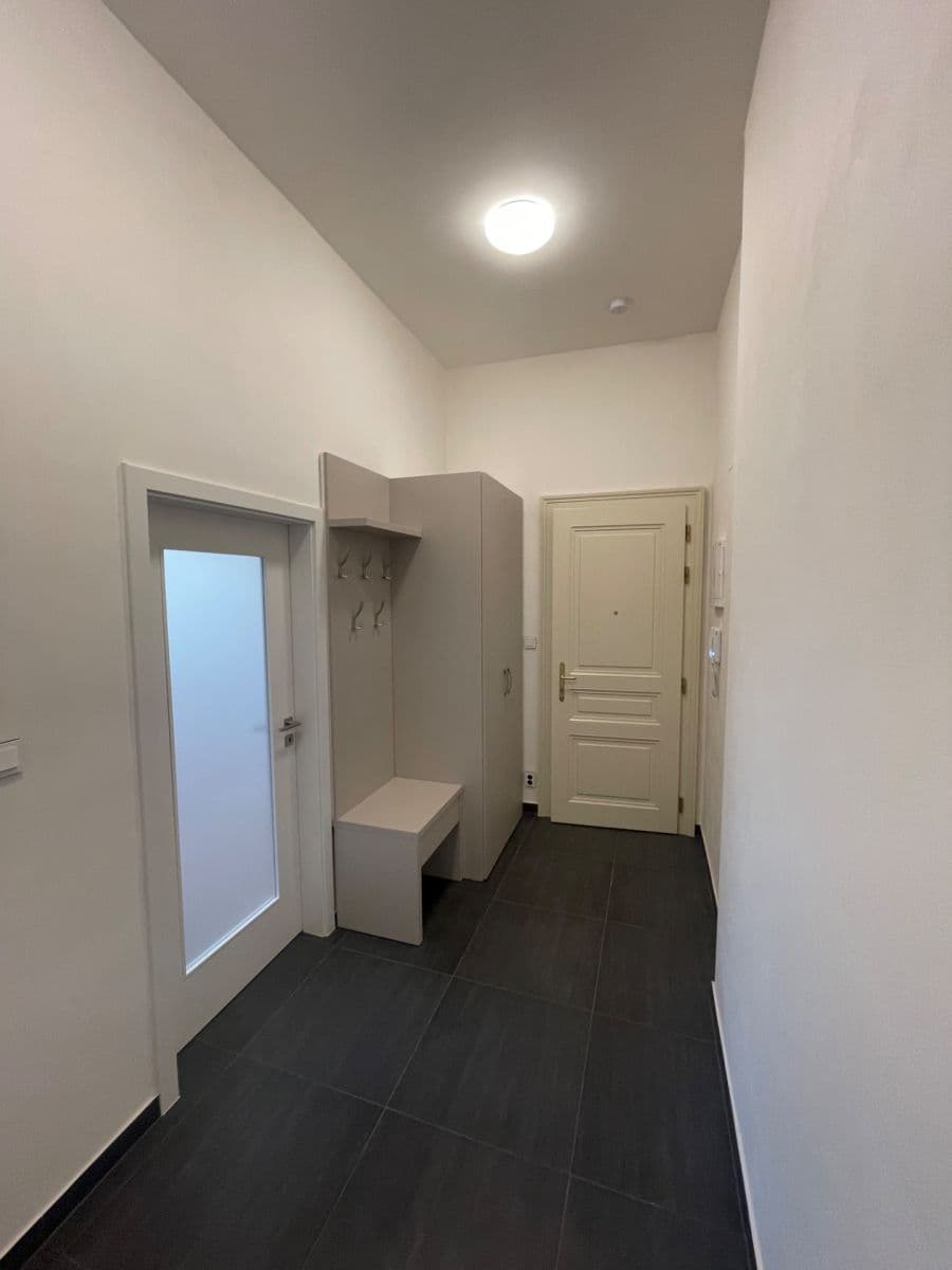 1 bedroom with open-plan kitchen flat to rent, 55 m², Peckova, Prague, Prague 1 bedroom with open-plan kitchen flat to rent, 55 m², Peckova, Prague, Prague