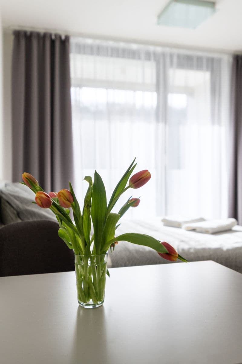 flat to rent, 35 m², Hlaváčkova, Prague, Prague flat to rent, 35 m², Hlaváčkova, Prague, Prague