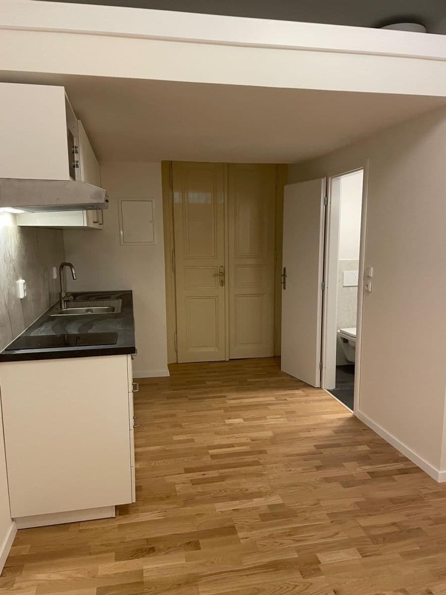 Studio flat to rent, 19 m², Křížová, Prague, Prague Studio flat to rent, 19 m², Křížová, Prague, Prague