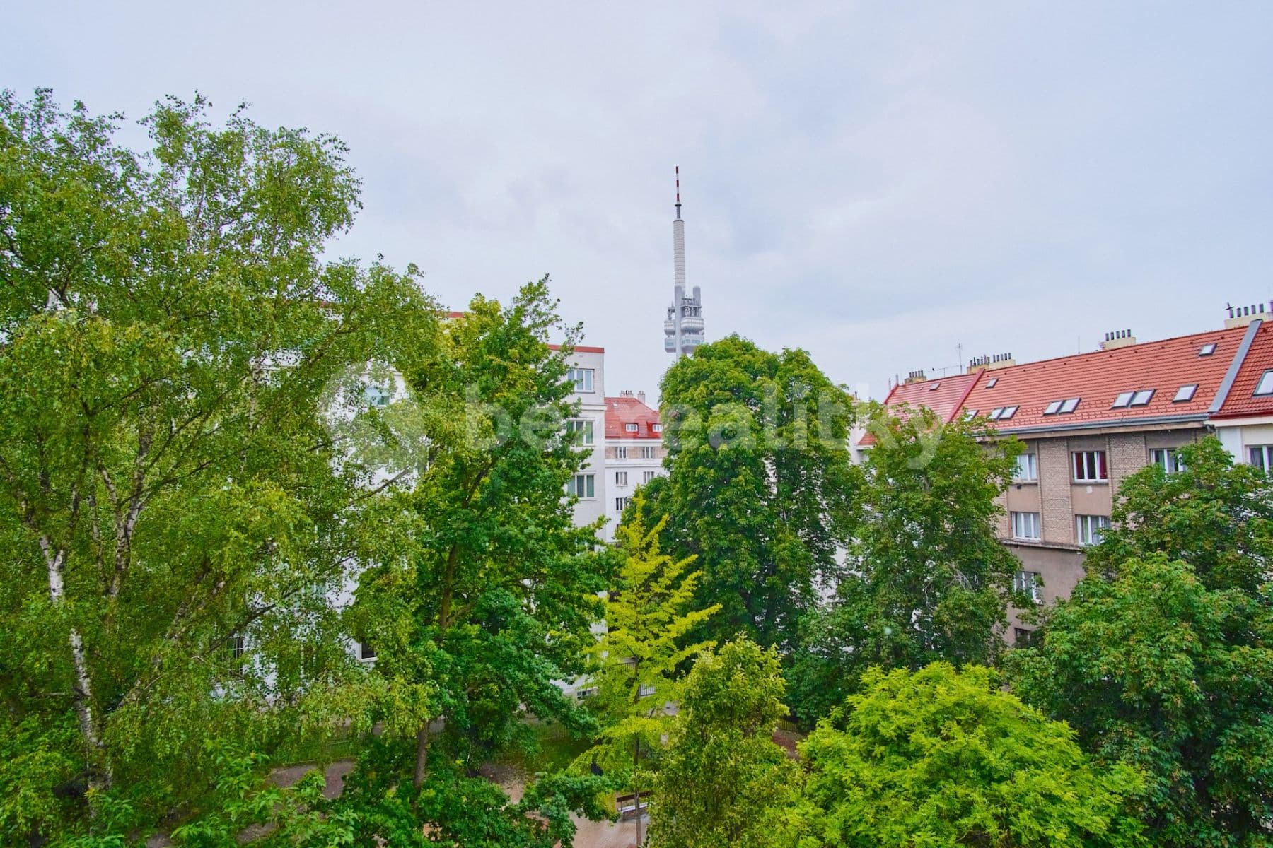 1 bedroom with open-plan kitchen flat to rent, 55 m², Baranova, Prague, Prague 1 bedroom with open-plan kitchen flat to rent, 55 m², Baranova, Prague, Prague